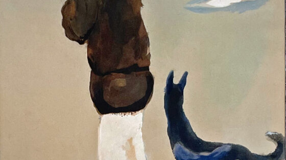 Vrouw met Hond Wandelend aan het Strand